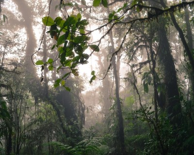 COSTA RICA